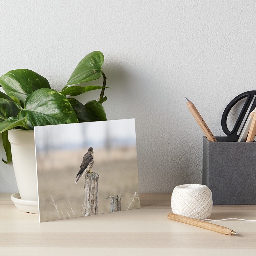 Item preview, Art Board Print designed and sold by Photograph2u.