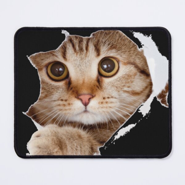 Item preview, Animal cat designed and sold by FunZoo.