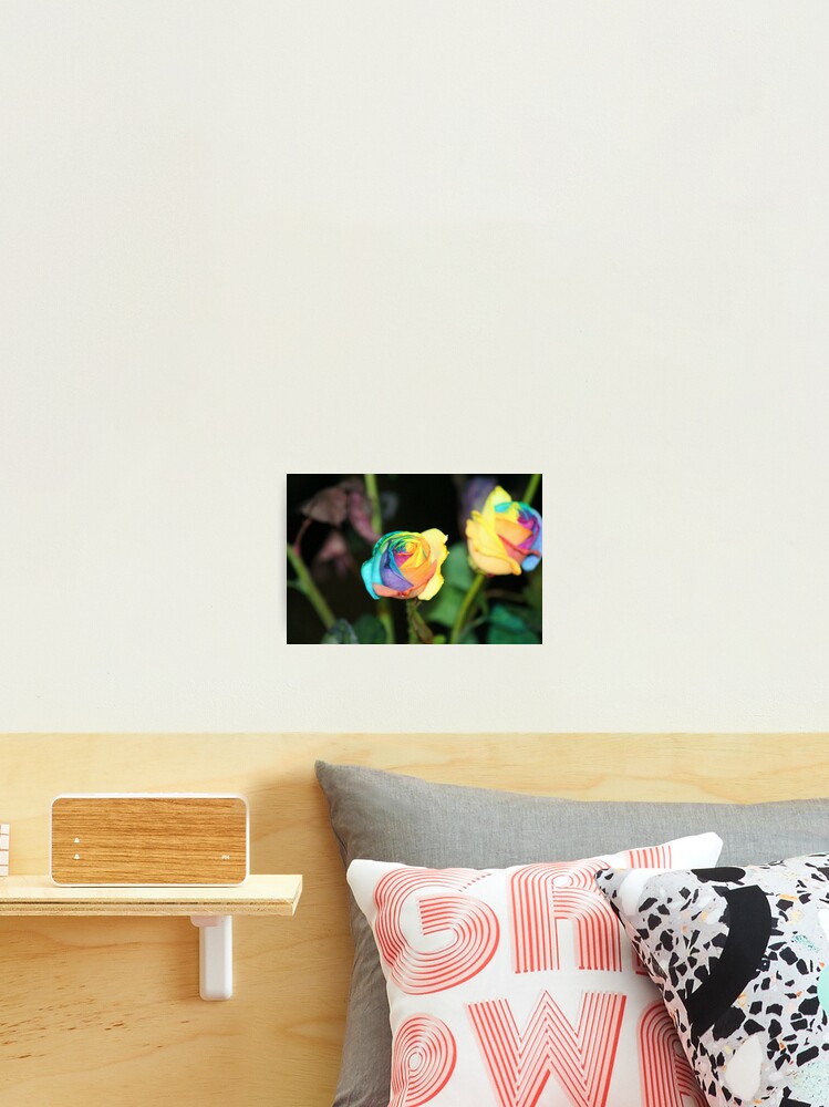 Thumbnail 2 of 3, Photographic Print, Multi-Color Roses designed and sold by royce.