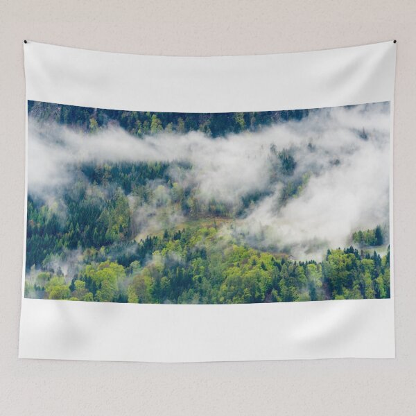 Item preview, Clearing designed and sold by DiFigianoPhoto.