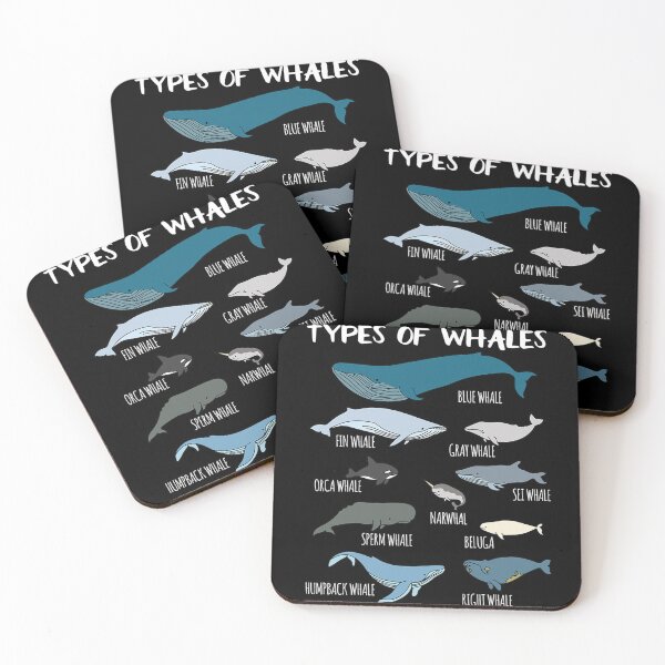 Item preview, Types Of Whales Cute Ocean Mammals Guide designed and sold by SonphotPhet.
