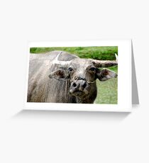 Wiseman Greeting Card