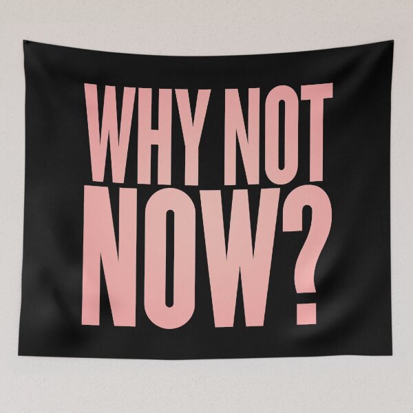 Item preview, Why not now? v.3 designed and sold by x1brett.