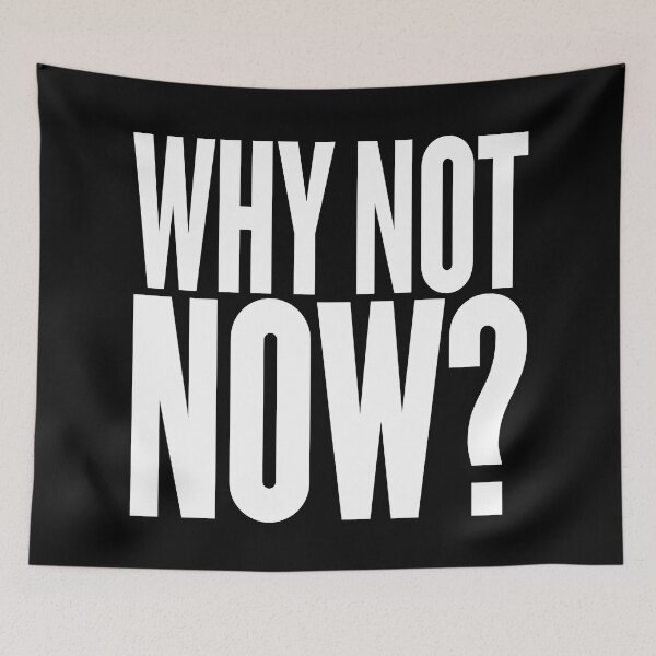 Item preview, Why not now? v.6 designed and sold by x1brett.