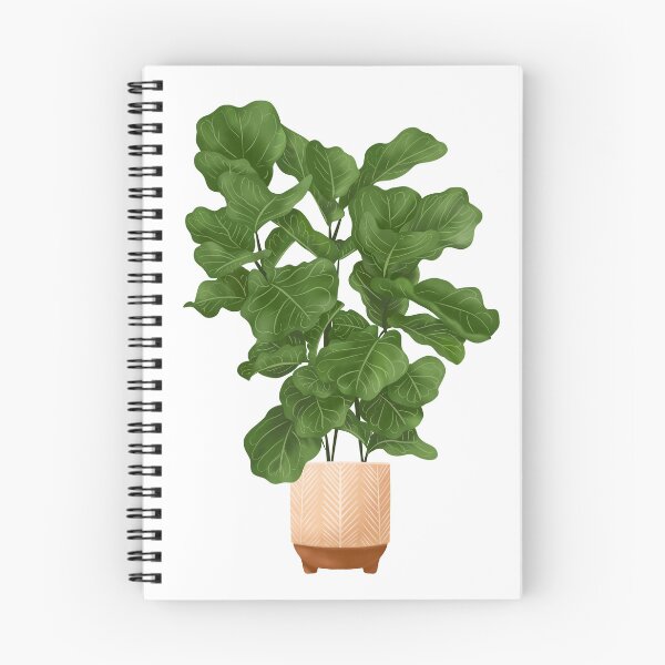 Item preview, Fiddle Leaf Fig Plant, Potted Plant Illustration designed and sold by Ana Moguš.