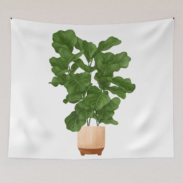 Item preview, Fiddle Leaf Fig Plant, Potted Plant Illustration designed and sold by Ana Moguš.