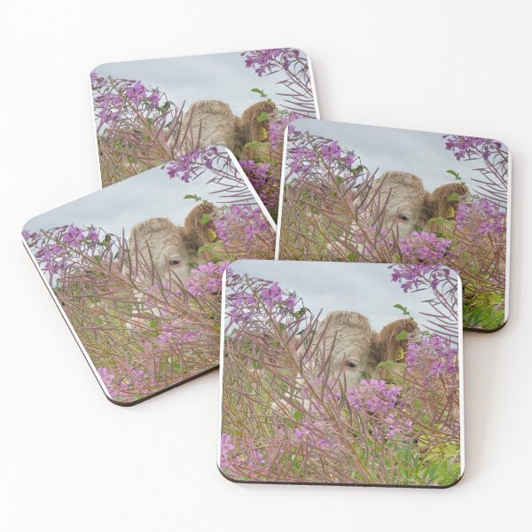 Item preview, cow hide and seek  designed and sold by RSdesignbureau.