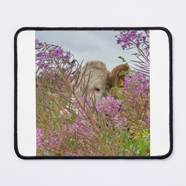 Item preview, cow hide and seek  designed and sold by RSdesignbureau.