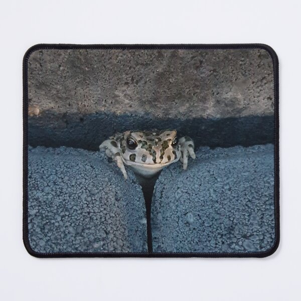 Item preview, small frog poking his head out designed and sold by RSdesignbureau.