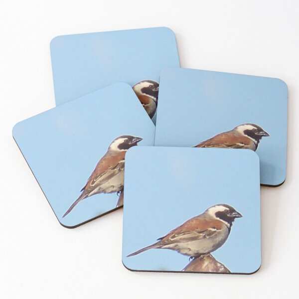Item preview, Male Sparrow (True) designed and sold by Blertz.