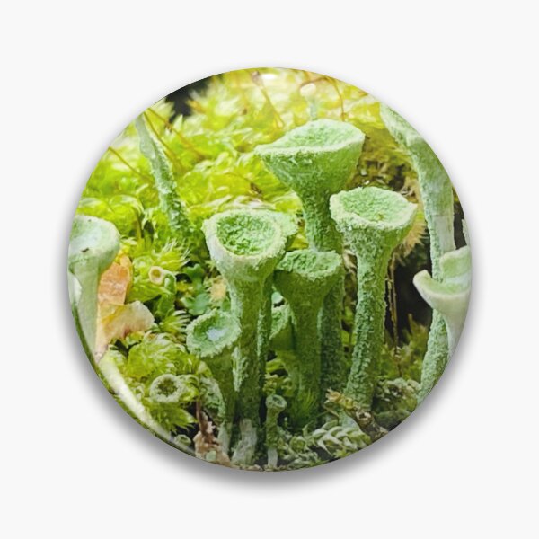 Item preview, lichen green designed and sold by Stylekonzept.