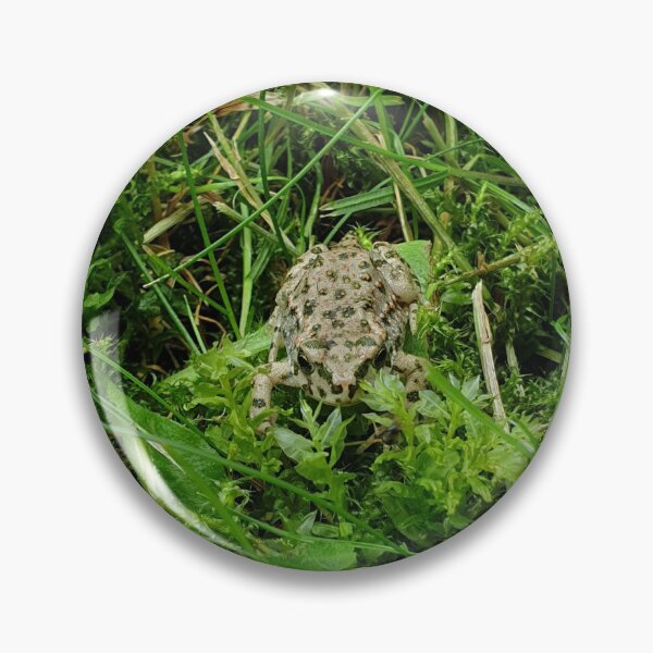 Item preview, frog in the grass  designed and sold by RSdesignbureau.
