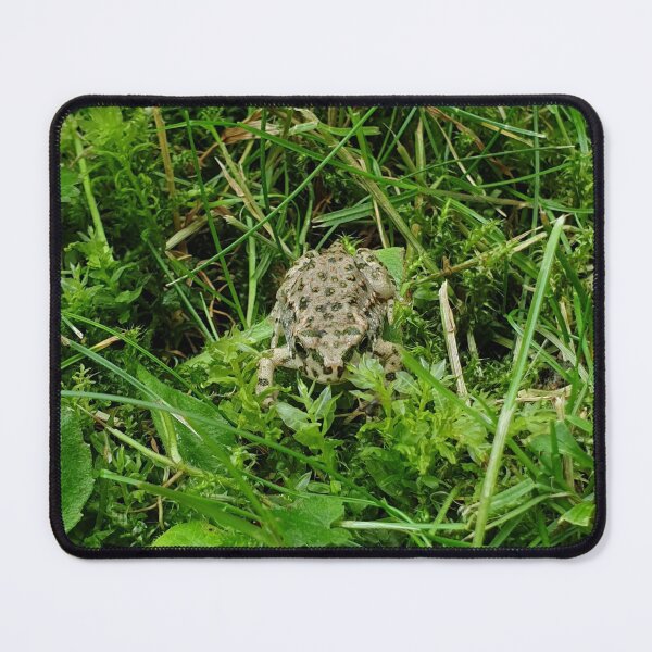 Item preview, frog in the grass  designed and sold by RSdesignbureau.