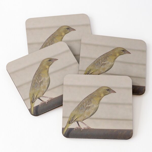 Item preview, Gold Finch female designed and sold by Blertz.