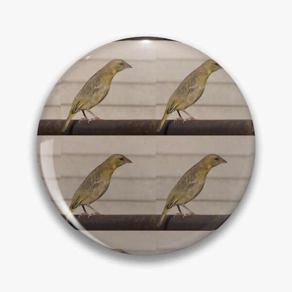Item preview, Gold Finch female designed and sold by Blertz.