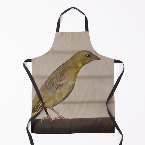 Item preview, Gold Finch female designed and sold by Blertz.