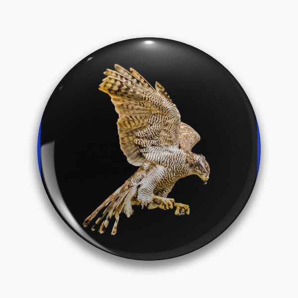 Item preview, Northern Goshawk Graphic T-Shirt designed and sold by DennisSchno.