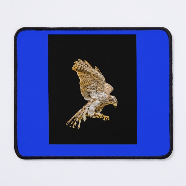 Item preview, Northern Goshawk Graphic T-Shirt designed and sold by DennisSchno.