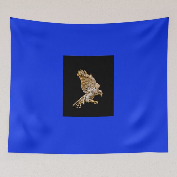 Item preview, Northern Goshawk Graphic T-Shirt designed and sold by DennisSchno.