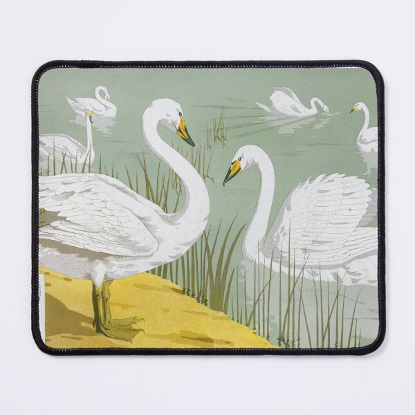Item preview, Cygne sauvage from L'animal dans la décoration (1897) illustrated by Maurice Pillard Verneuil designed and sold by UnicornFlamingo.