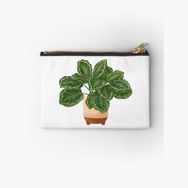 Item preview, Calathea Medallion- Prayer Plant, Potted Plant Illustration designed and sold by Ana Moguš.