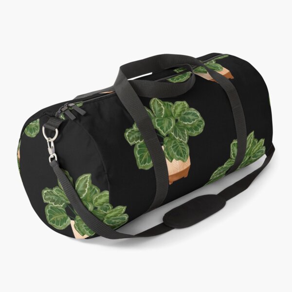 Item preview, Calathea Medallion- Prayer Plant, Potted Plant Illustration designed and sold by Ana Moguš.