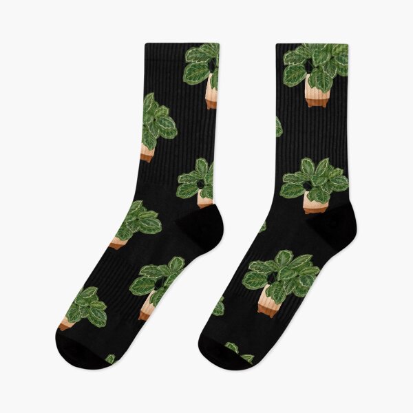 Item preview, Calathea Medallion- Prayer Plant, Potted Plant Illustration designed and sold by Ana Moguš.