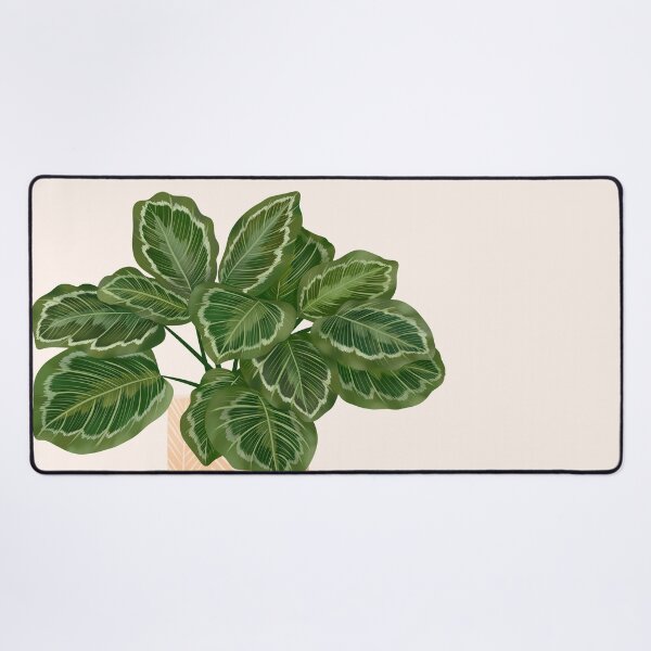 Item preview, Calathea Medallion- Prayer Plant, Potted Plant Illustration designed and sold by Ana Moguš.