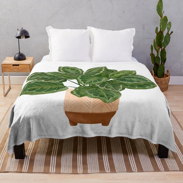 Item preview, Calathea Medallion- Prayer Plant, Potted Plant Illustration designed and sold by Ana Moguš.