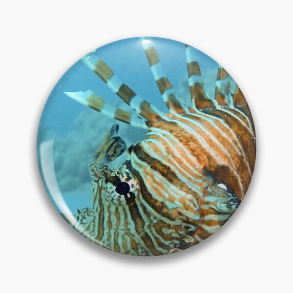 Item preview, lionfish designed and sold by Stylekonzept.
