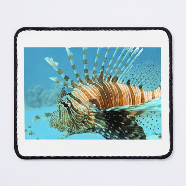 Item preview, lionfish designed and sold by Stylekonzept.