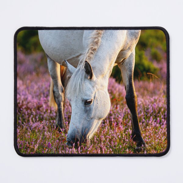 Item preview, Beautiful Grey designed and sold by Dalyndigital Photography.