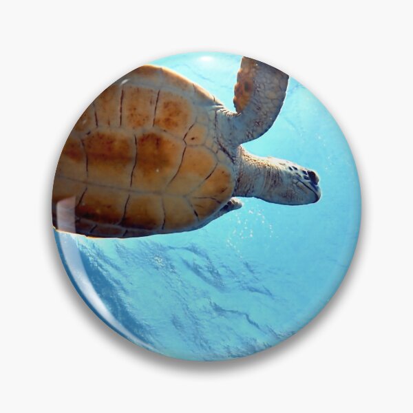 Item preview, tortoise designed and sold by Stylekonzept.