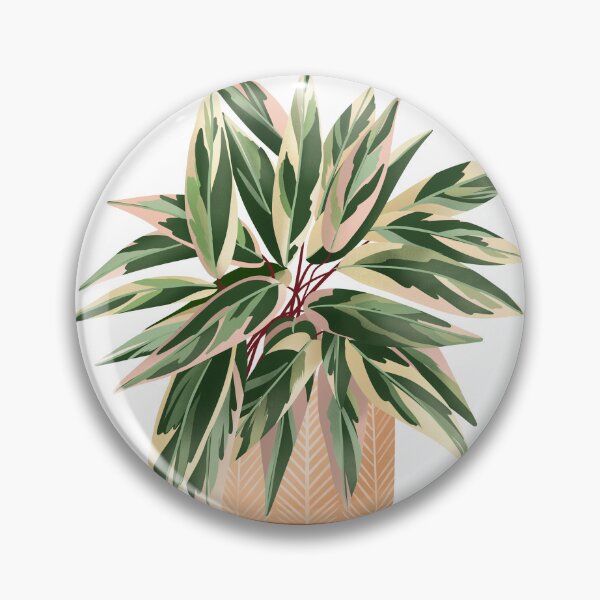 Item preview, Calathea Triostar, Potted Plant Illustration designed and sold by Ana Moguš.