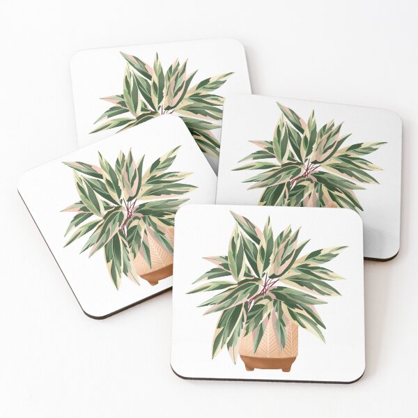 Item preview, Calathea Triostar, Potted Plant Illustration designed and sold by Ana Moguš.