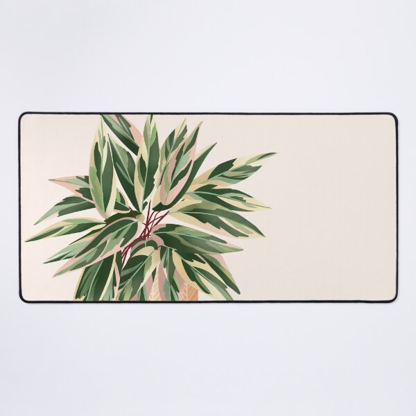 Item preview, Calathea Triostar, Potted Plant Illustration designed and sold by Ana Moguš.