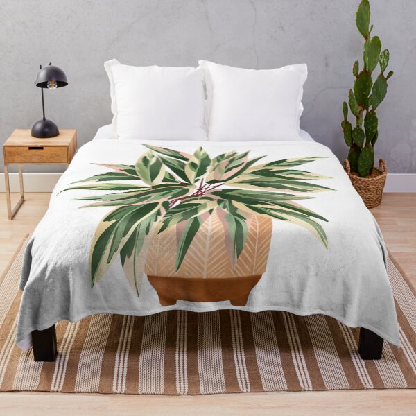 Item preview, Calathea Triostar, Potted Plant Illustration designed and sold by Ana Moguš.