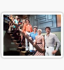 Brady Bunch Sticker Sticker