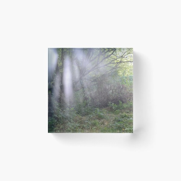Item preview, Misty Forest designed and sold by Billie Ingram.