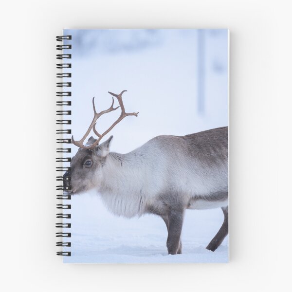 Item preview, Reindeer in deep winter designed and sold by ccullen222.