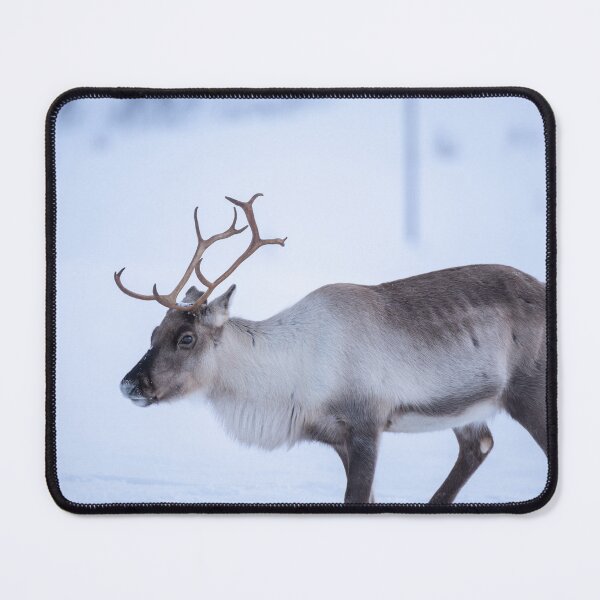 Item preview, Reindeer in deep winter designed and sold by ccullen222.