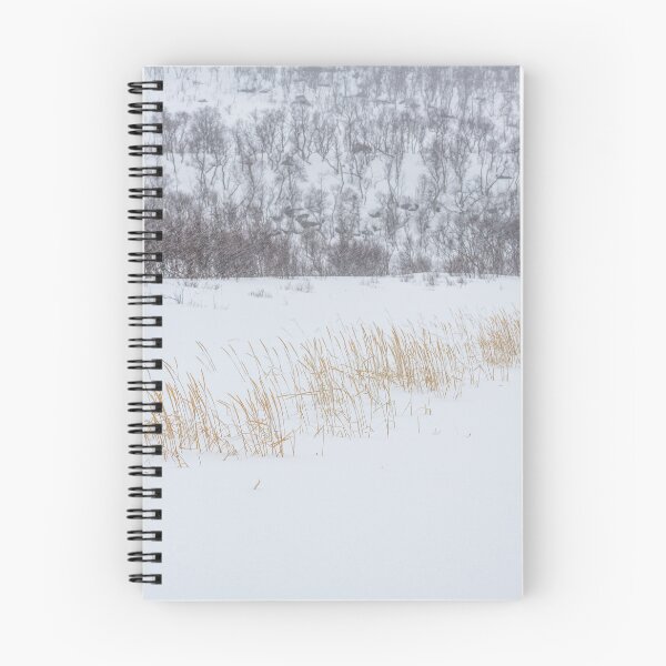 Item preview, Senja coast in winter designed and sold by ccullen222.