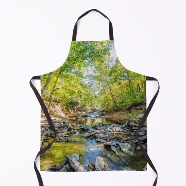 Item preview, Looking Down Tanyard Creek designed and sold by mljdwhite.