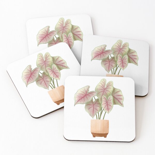 Item preview, Caladium Summer Breeze, Potted Plant Illustration designed and sold by Ana Moguš.