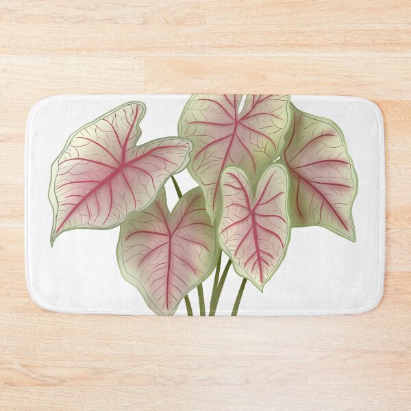 Item preview, Caladium Summer Breeze, Potted Plant Illustration designed and sold by Ana Moguš.