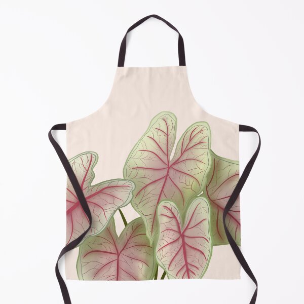 Item preview, Caladium Summer Breeze, Potted Plant Illustration designed and sold by Ana Moguš.