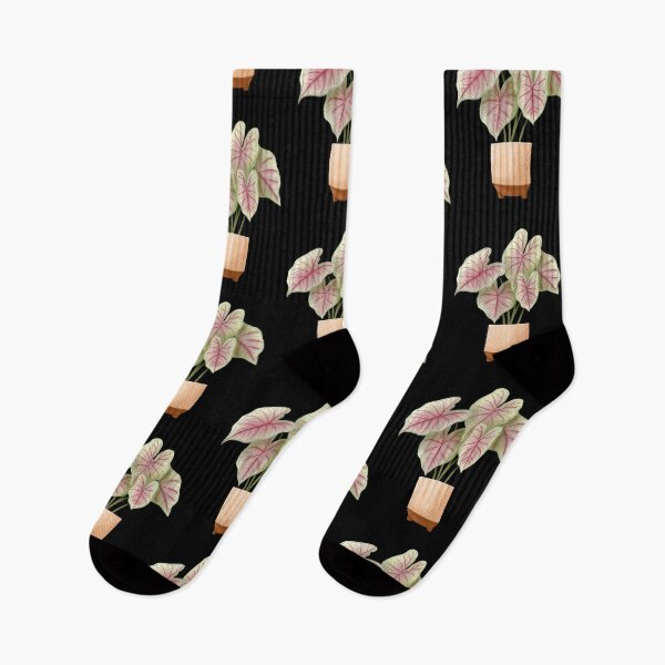 Item preview, Caladium Summer Breeze, Potted Plant Illustration designed and sold by Ana Moguš.