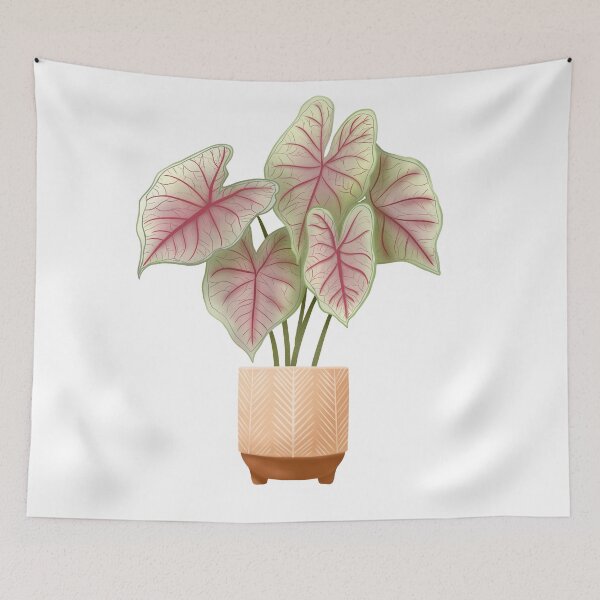 Item preview, Caladium Summer Breeze, Potted Plant Illustration designed and sold by Ana Moguš.