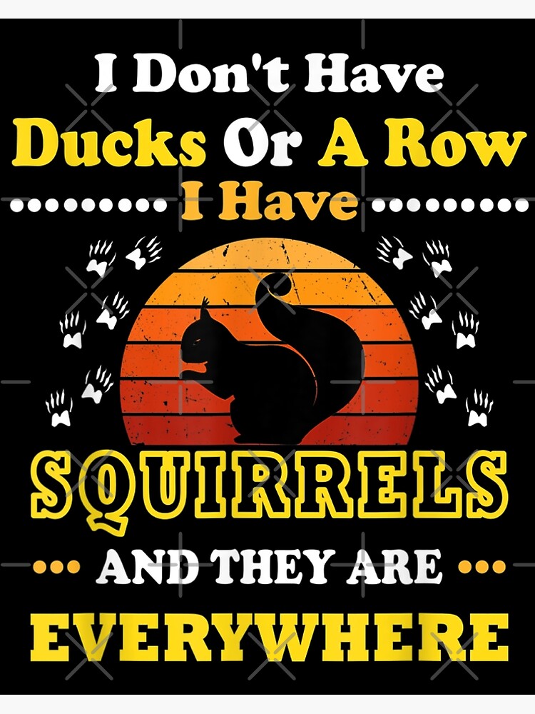 i-don-t-have-ducks-or-a-row-i-have-squirrels-and-they-are-everywhere