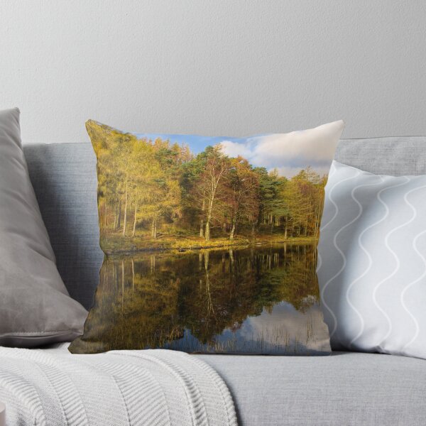 Item preview, Blea Tarn designed and sold by StephenJSmith.